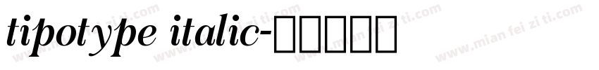 tipotype italic字体转换